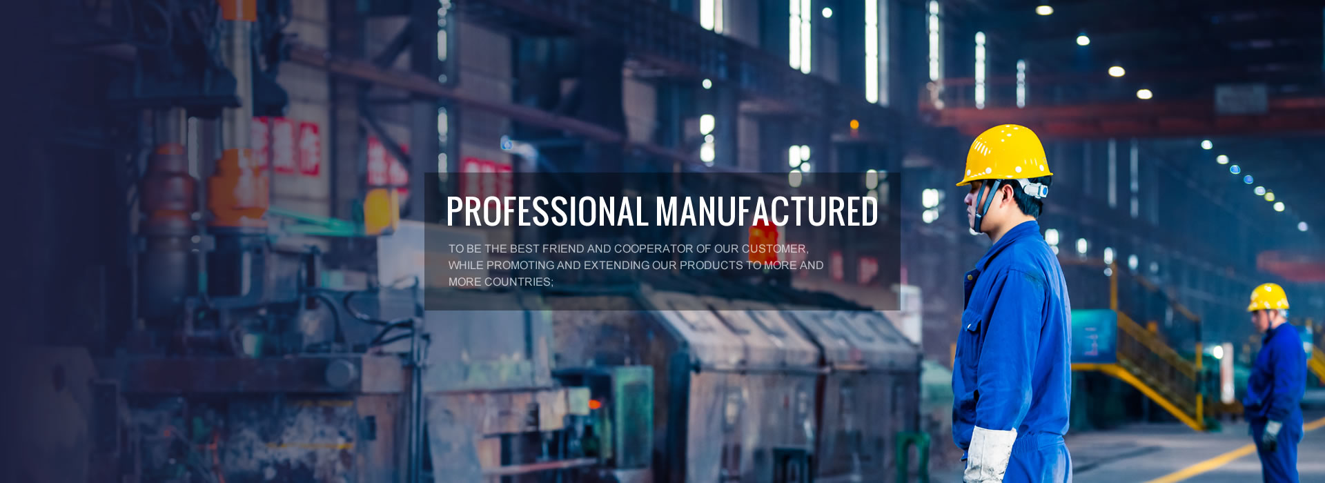 PROFESSIONAL SUPPLIER