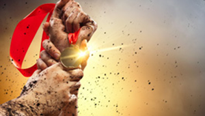 Why choose us(图文自定义)