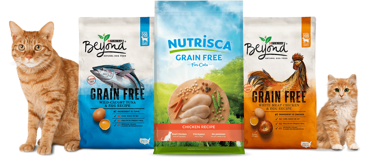 PROFESSIONAL SUPPLIER