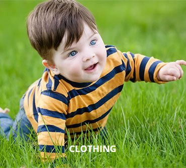 Zwebs Rich Business Co., Ltd