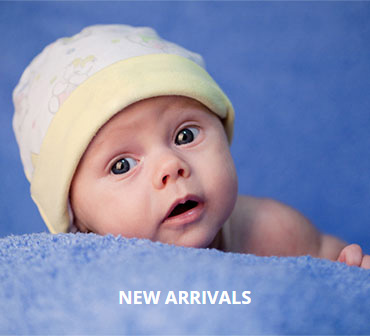 Zwebs Rich Business Co., Ltd